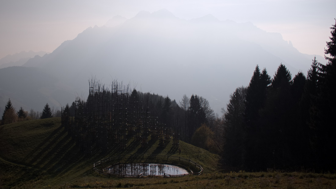 Cattedrale vegetale.