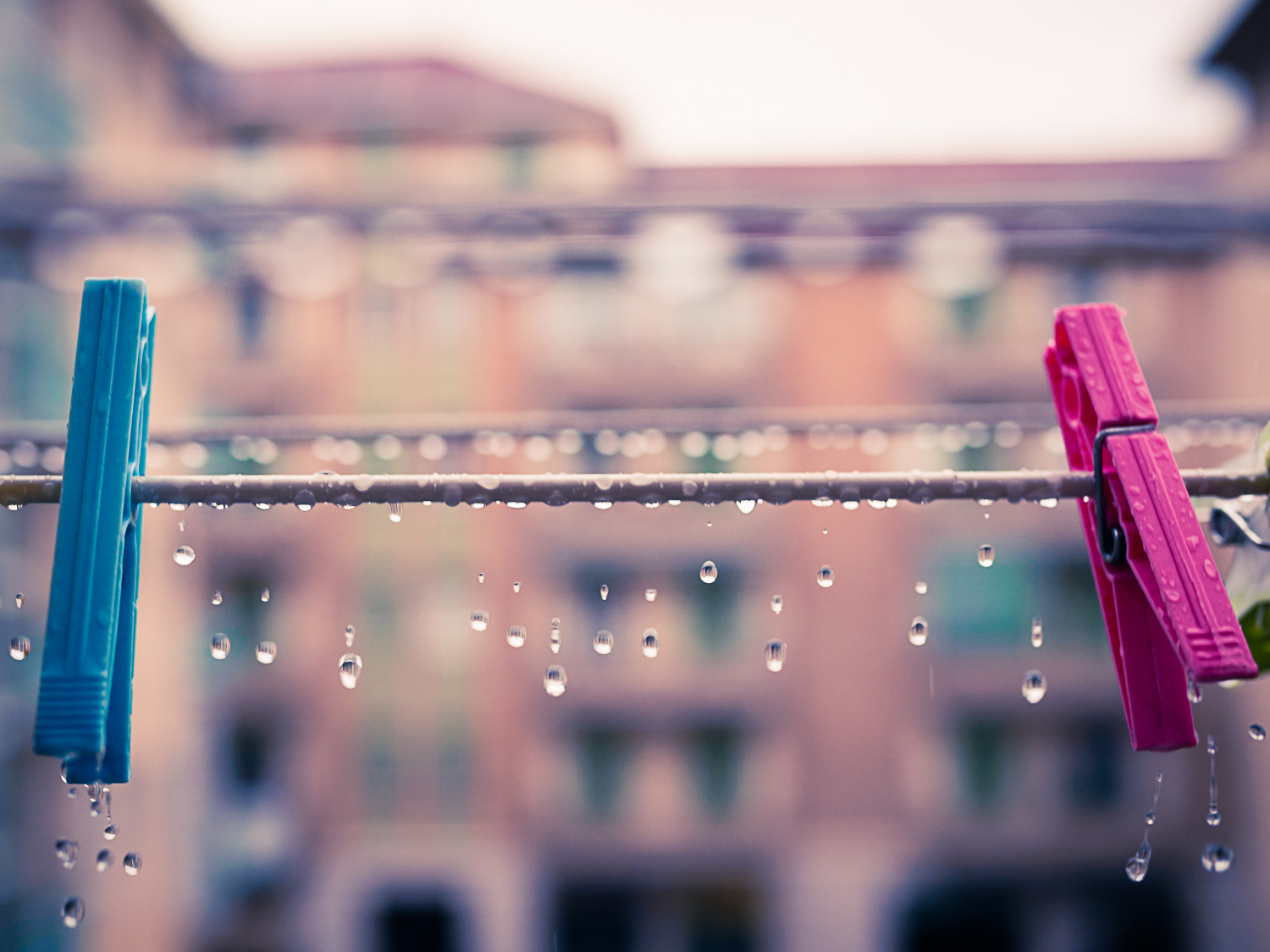 adesso...� Autunno