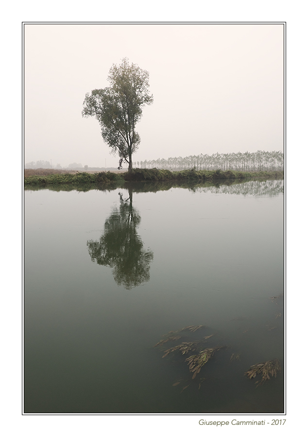 Un poco di Oglio (Isola Dovarese).