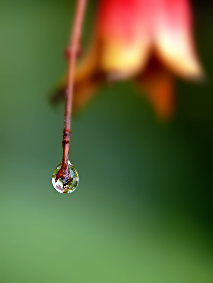 ***Solo una goccia***