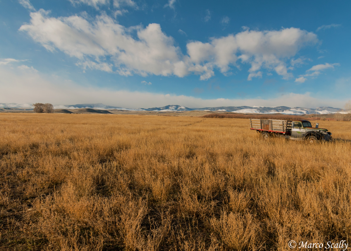 A truck stuck in a Wyoming field
