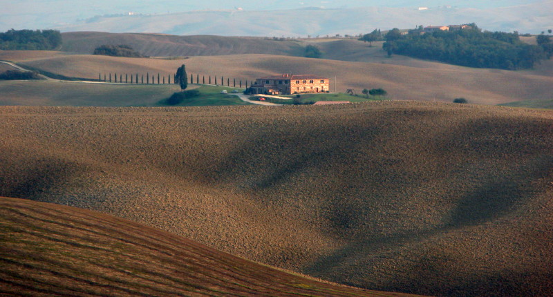Colline senesi
