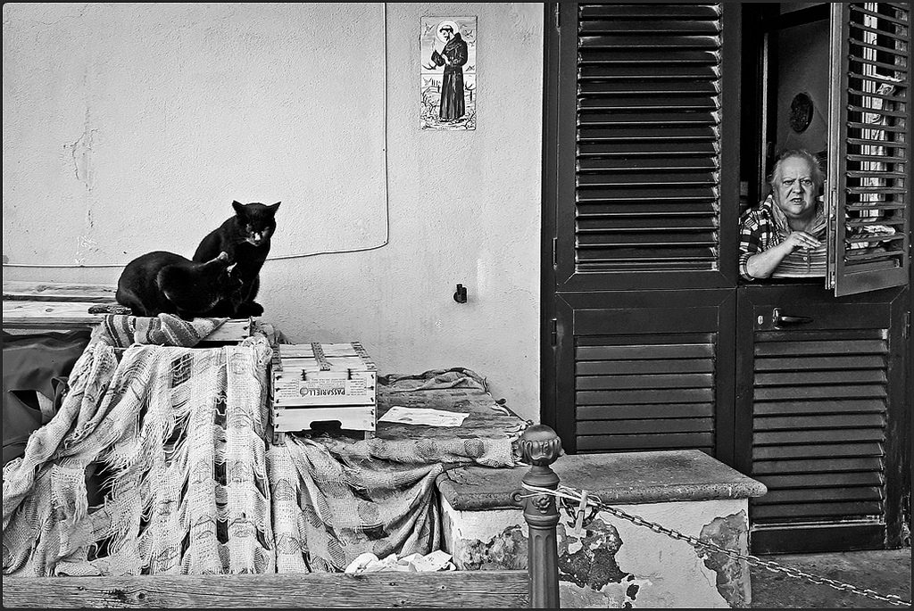 Les chats noirs