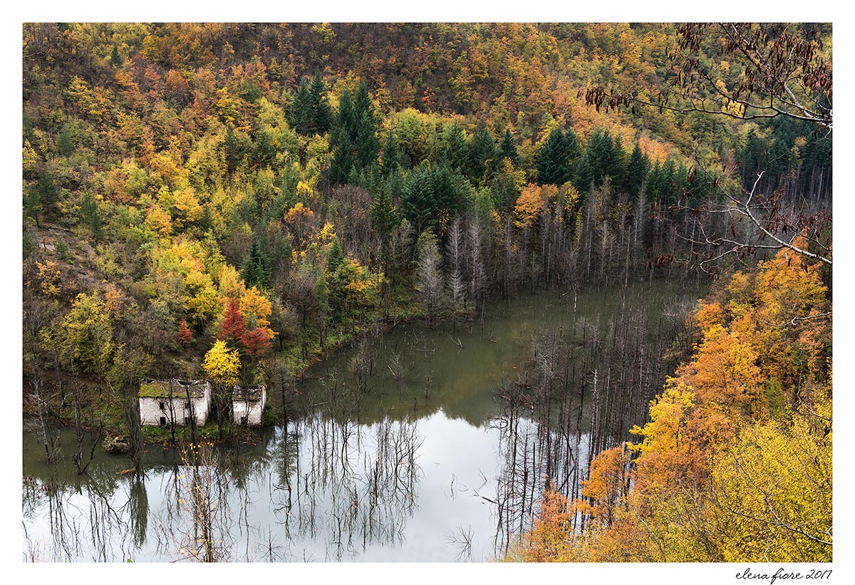 al limitar del bosco