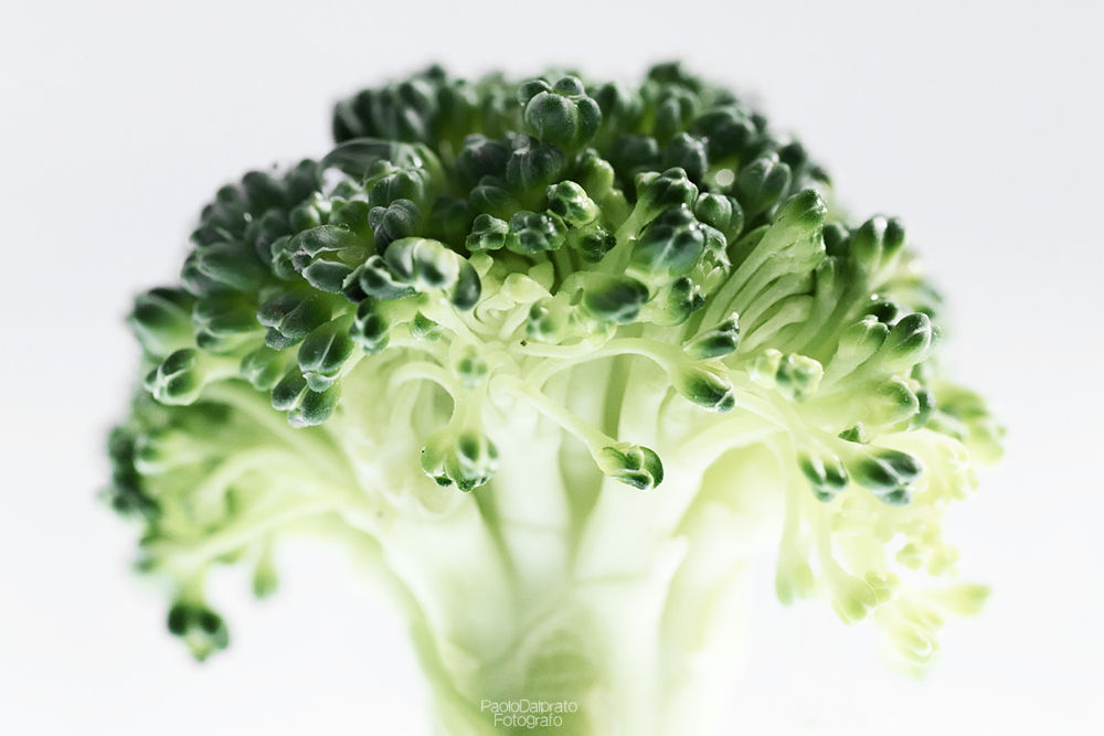 Cibo e quello che c'� intorno