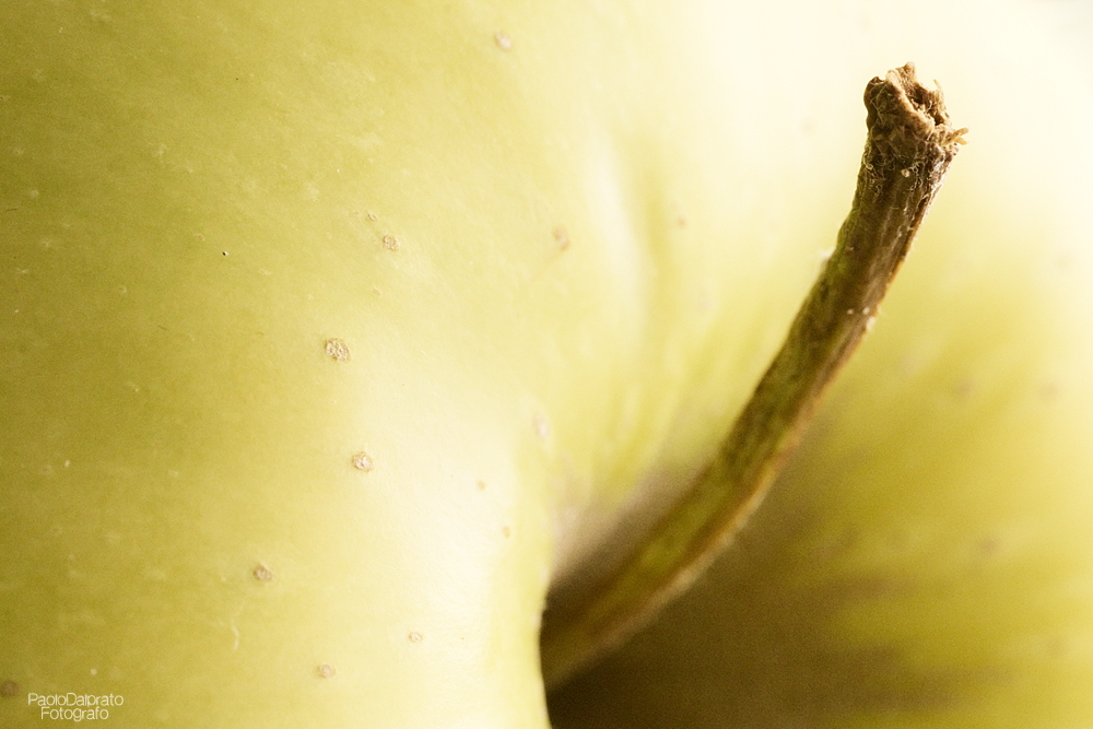 Cibo e quello che c'� intorno