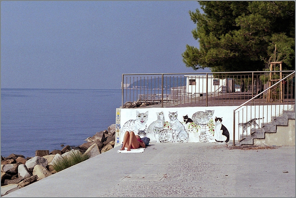 L'altro mare img.062