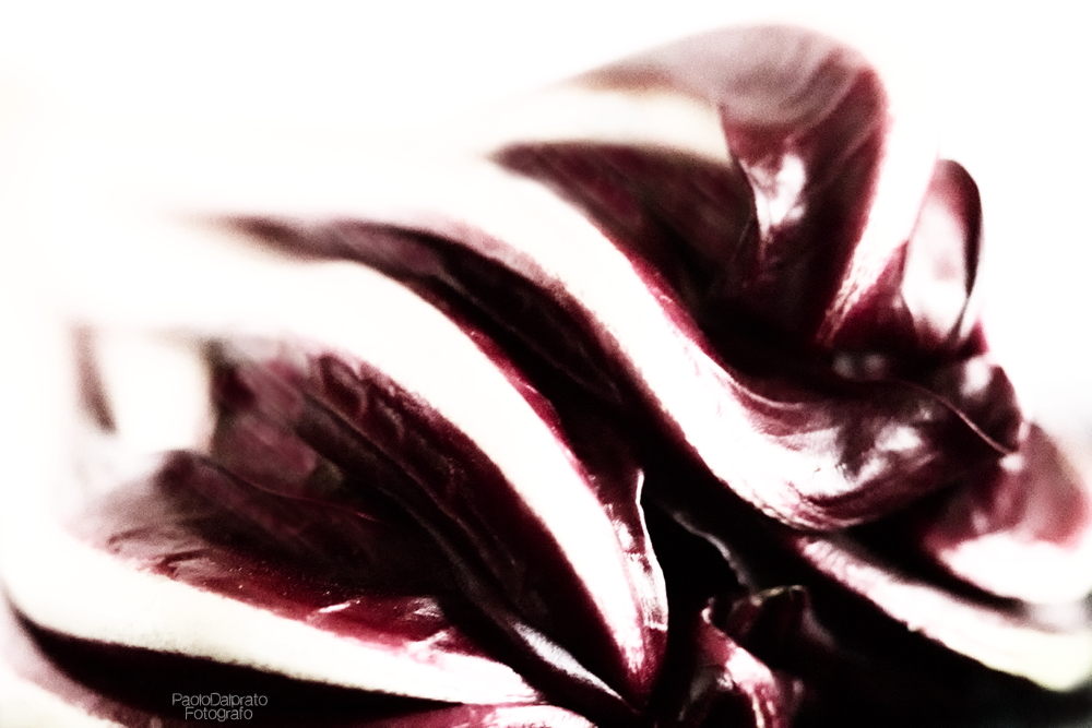 Cibo e quello che c'� intorno