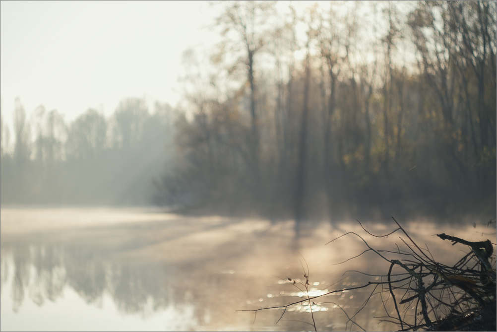 Come l�oro sul fondo della b�tea