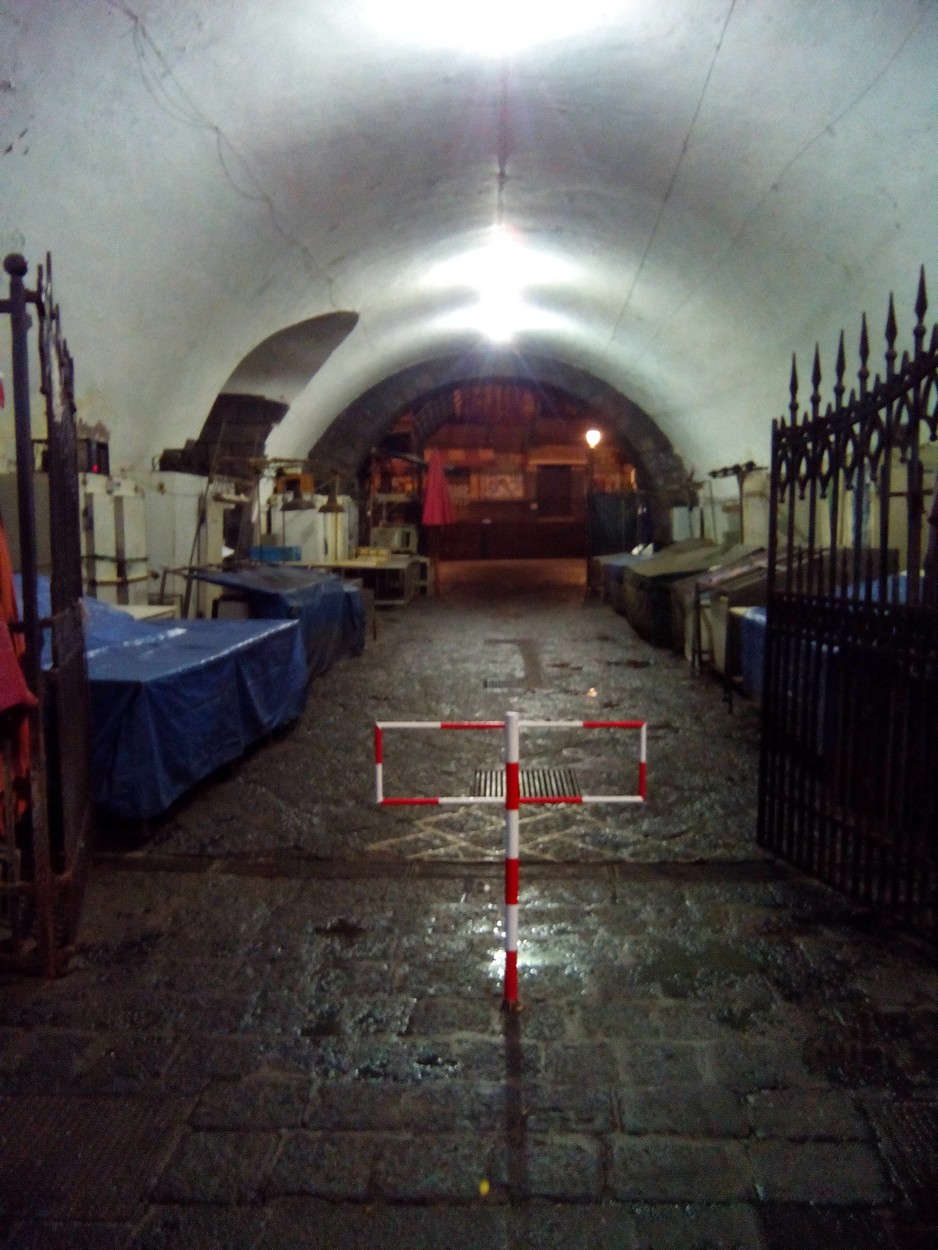 BANCHI DEL PESCE NEL TUNNEL SOTTO IL PALAZZO DEL SEMINARIO DEI CHIERICI