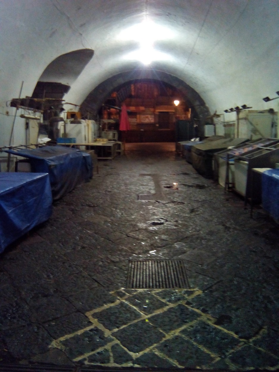 BANCHI DEL PESCE NEL TUNNEL SOTTO IL PALAZZO DEL SEMINARIO DEI CHIERICI