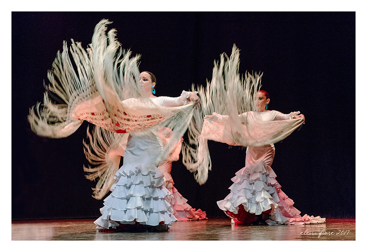 flamenco