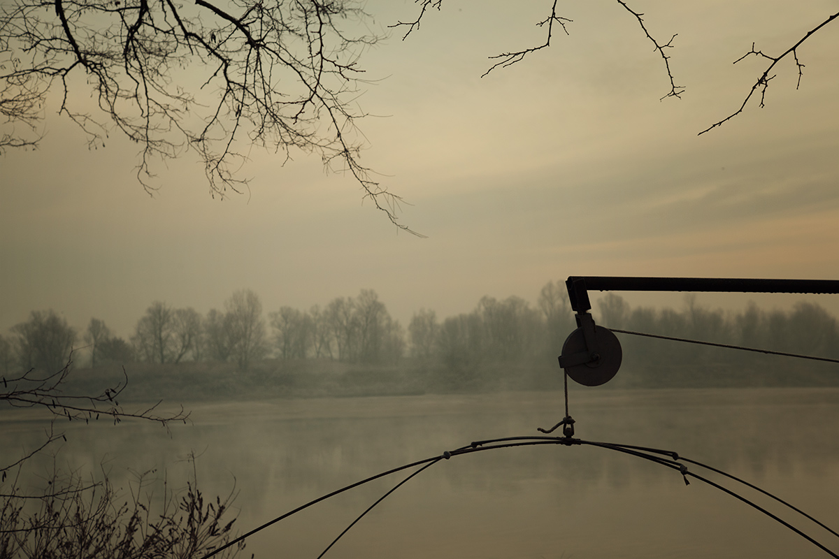 Dove Gli Alberi Piangono/Scorrimenti
