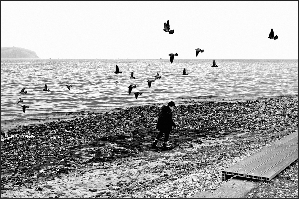 L'altro mare img.091