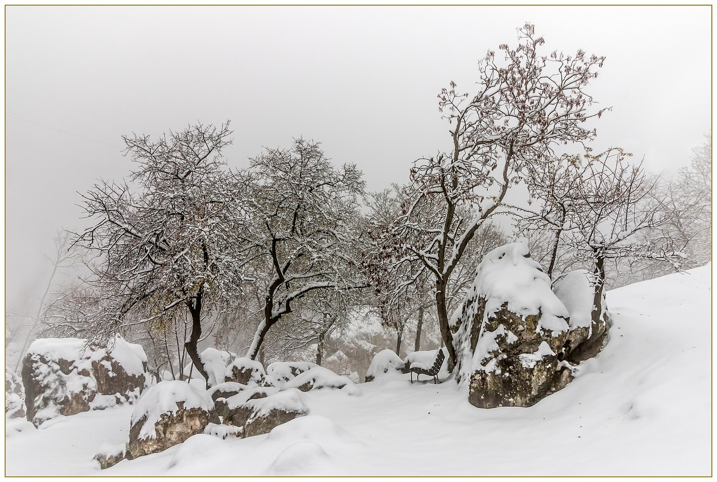 Una panchina all'ombra