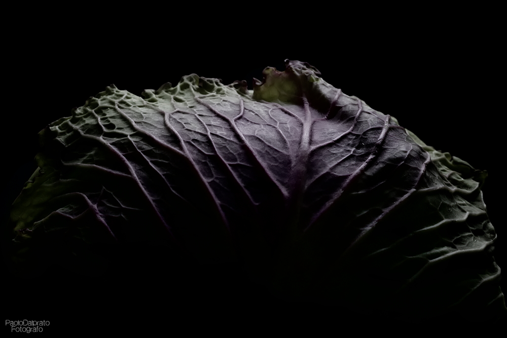 Cibo e quello che c'� intorno