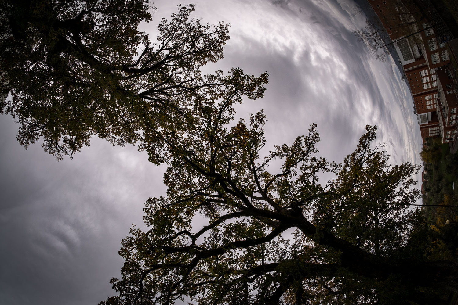 "La terra vista dal...basso" - Libere visioni