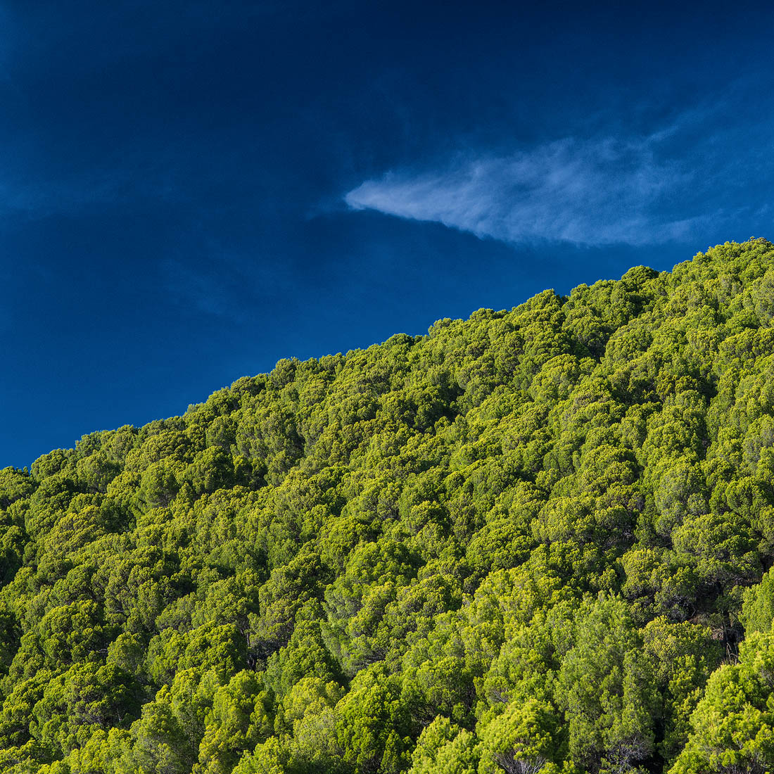 Green hill on blue