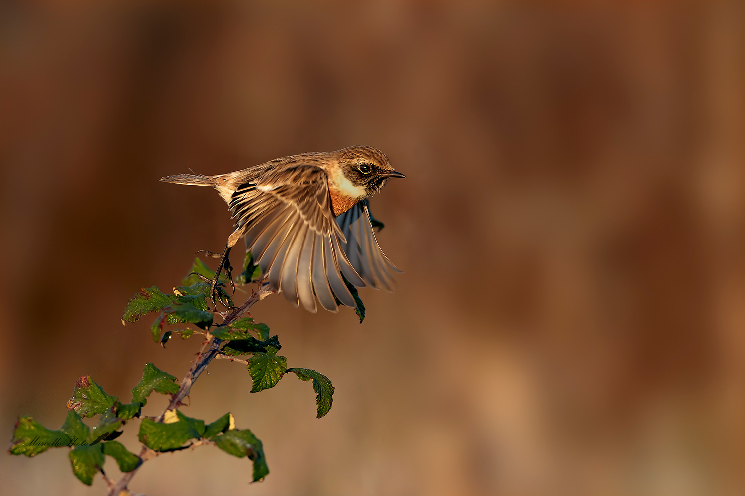 decollo all'alba.....