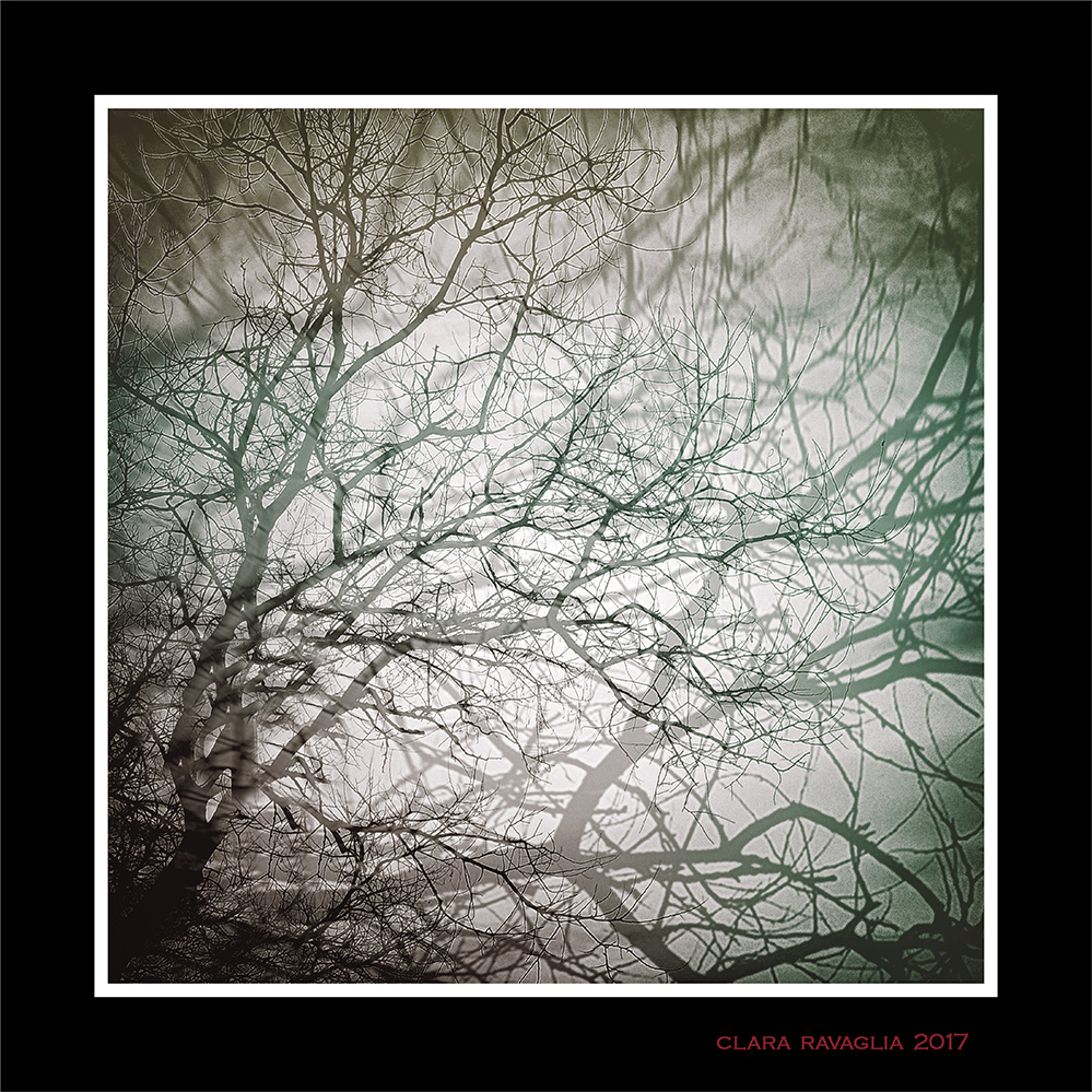 .....selva selvaggia e aspra e forte che nel pensier rinova la paura....