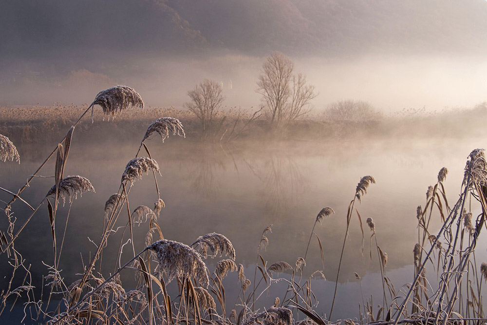 una fredda mattina di dicembre