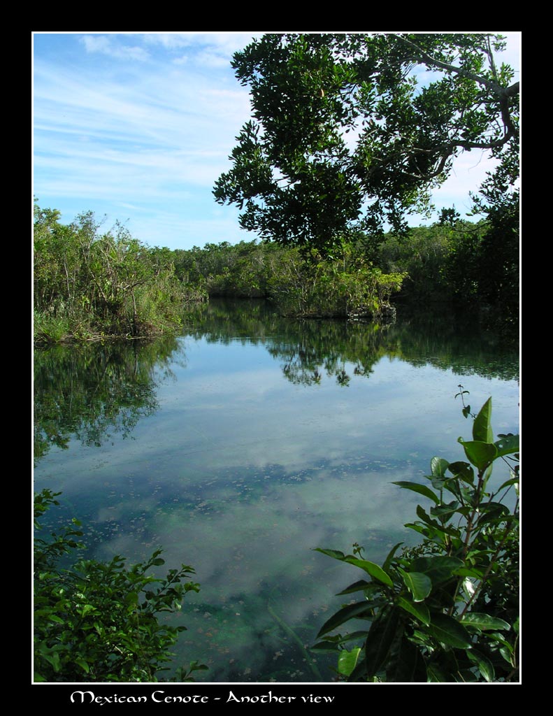 Un'altra immagine del cenote