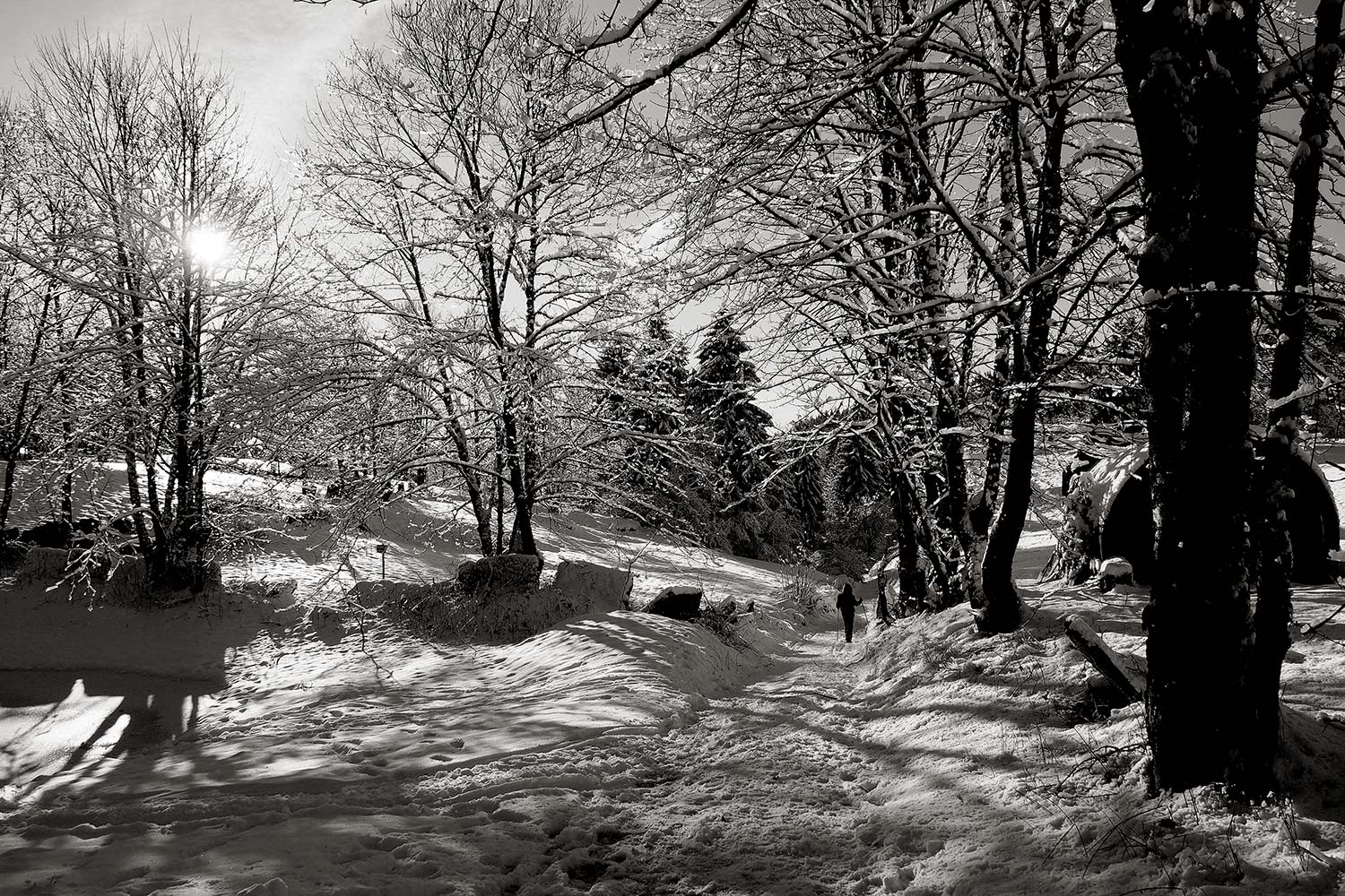 Camminando nell'inverno