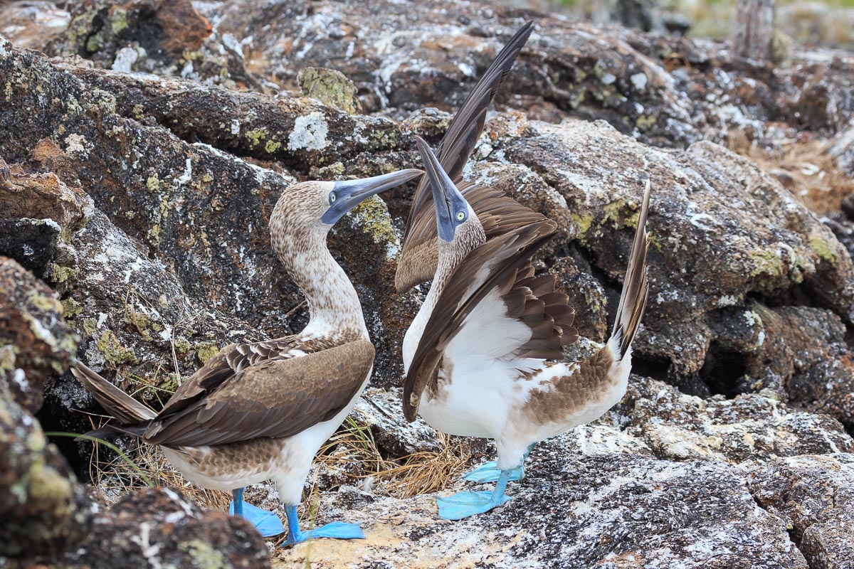 Solo per i tuoi occhi