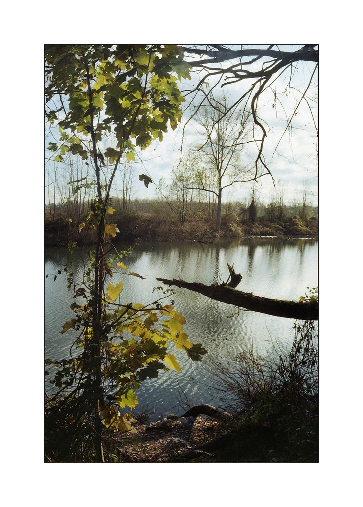 lanche dell'Adda Morta ;/)