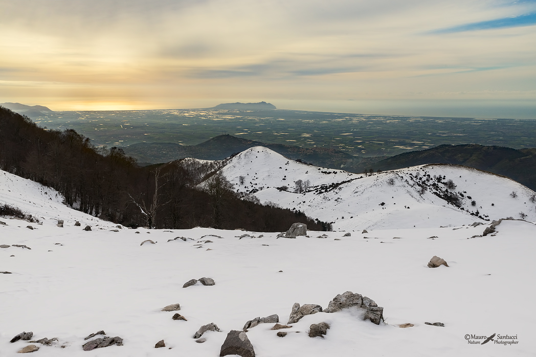 Uno sguardo sulla pianura