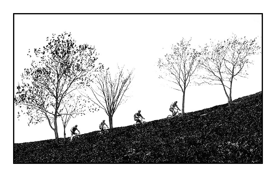 passeggiando in bicicletta