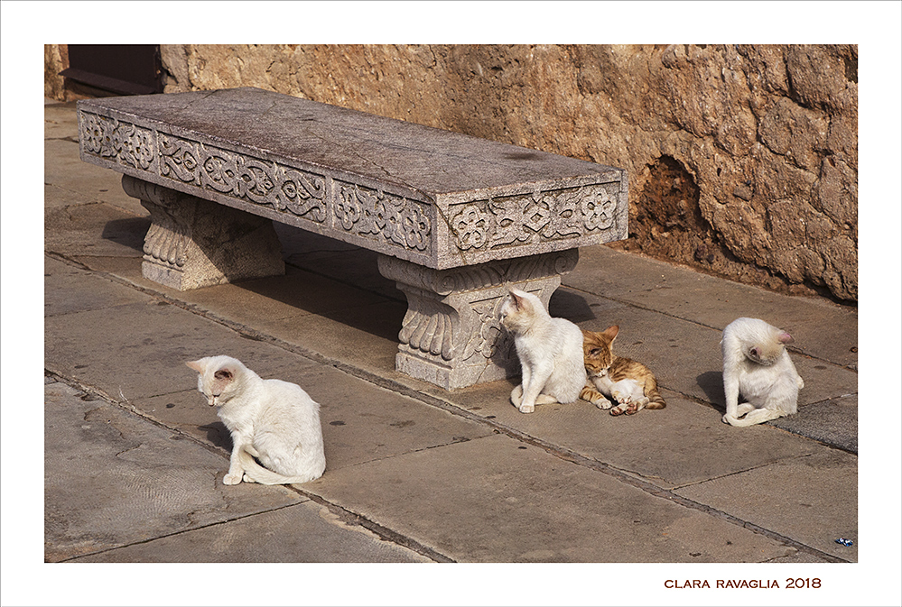 3 pi� 1: siesta e bagnetto.