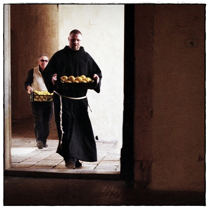I limoni del monaco