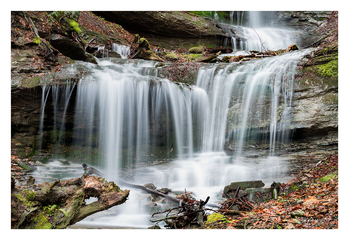 Cascata in Campigna