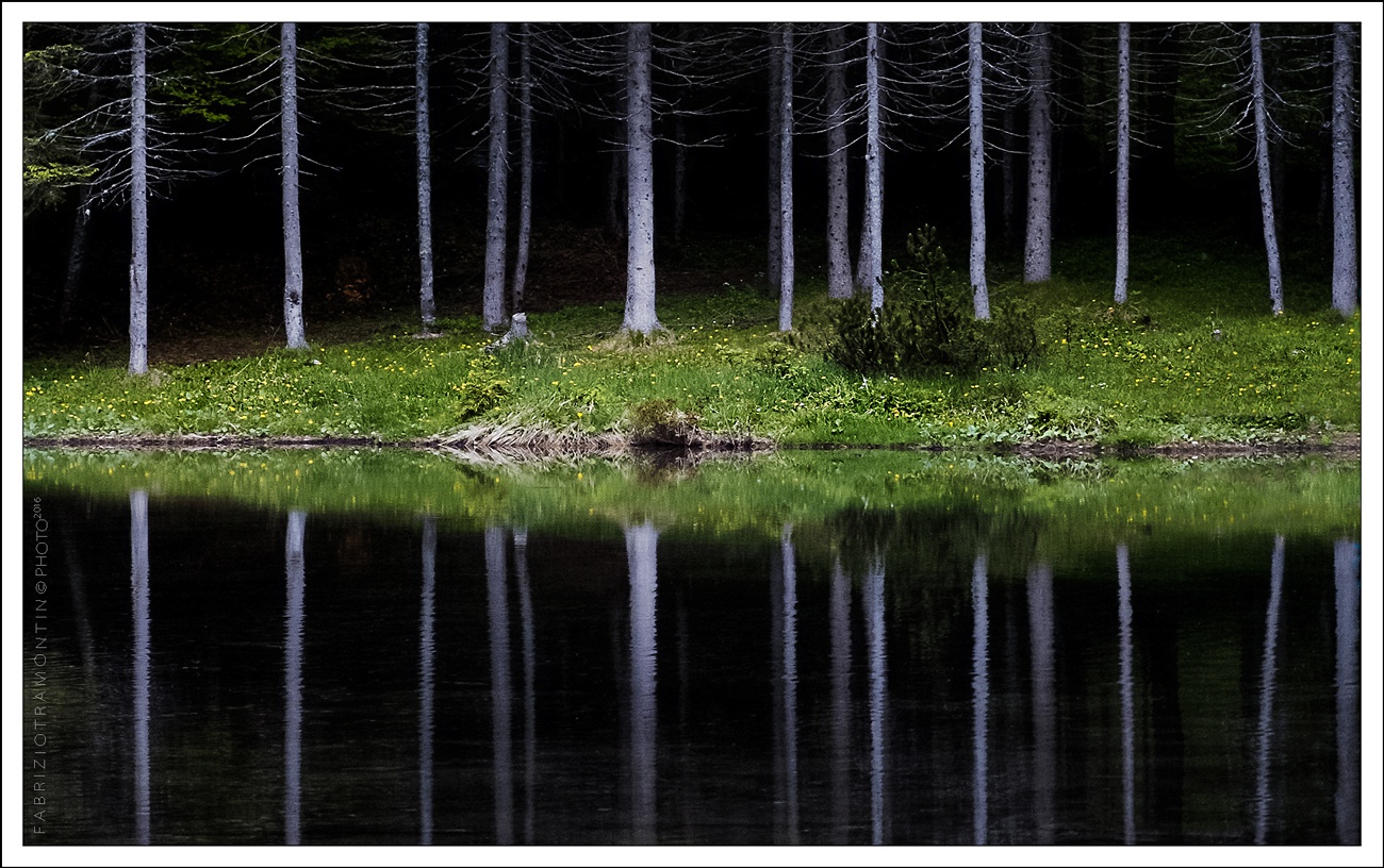 la gabbia dell'anima