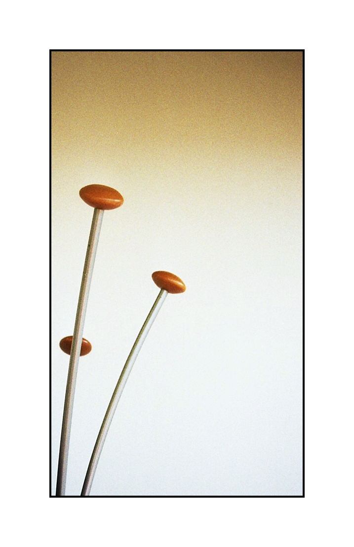 armillaria mellea ;/)