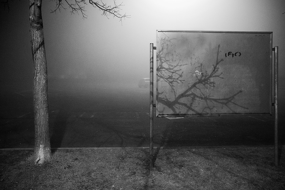 Una sera con la nebbia