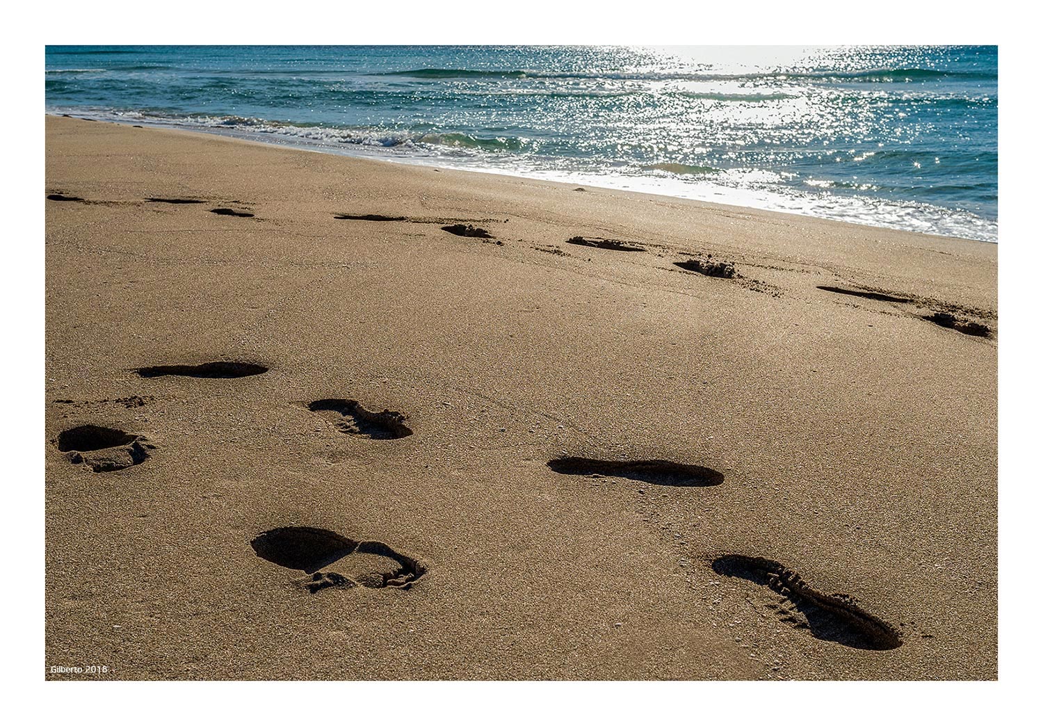 Impronte... d'inverno