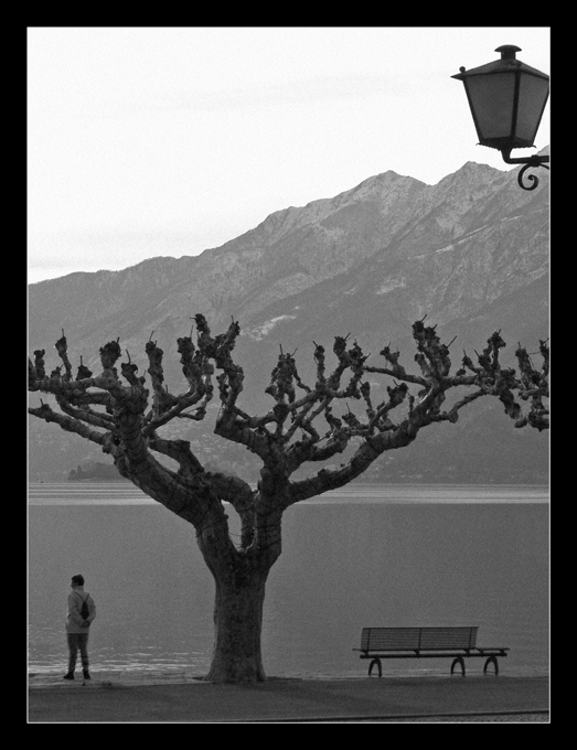 contemplando il lago