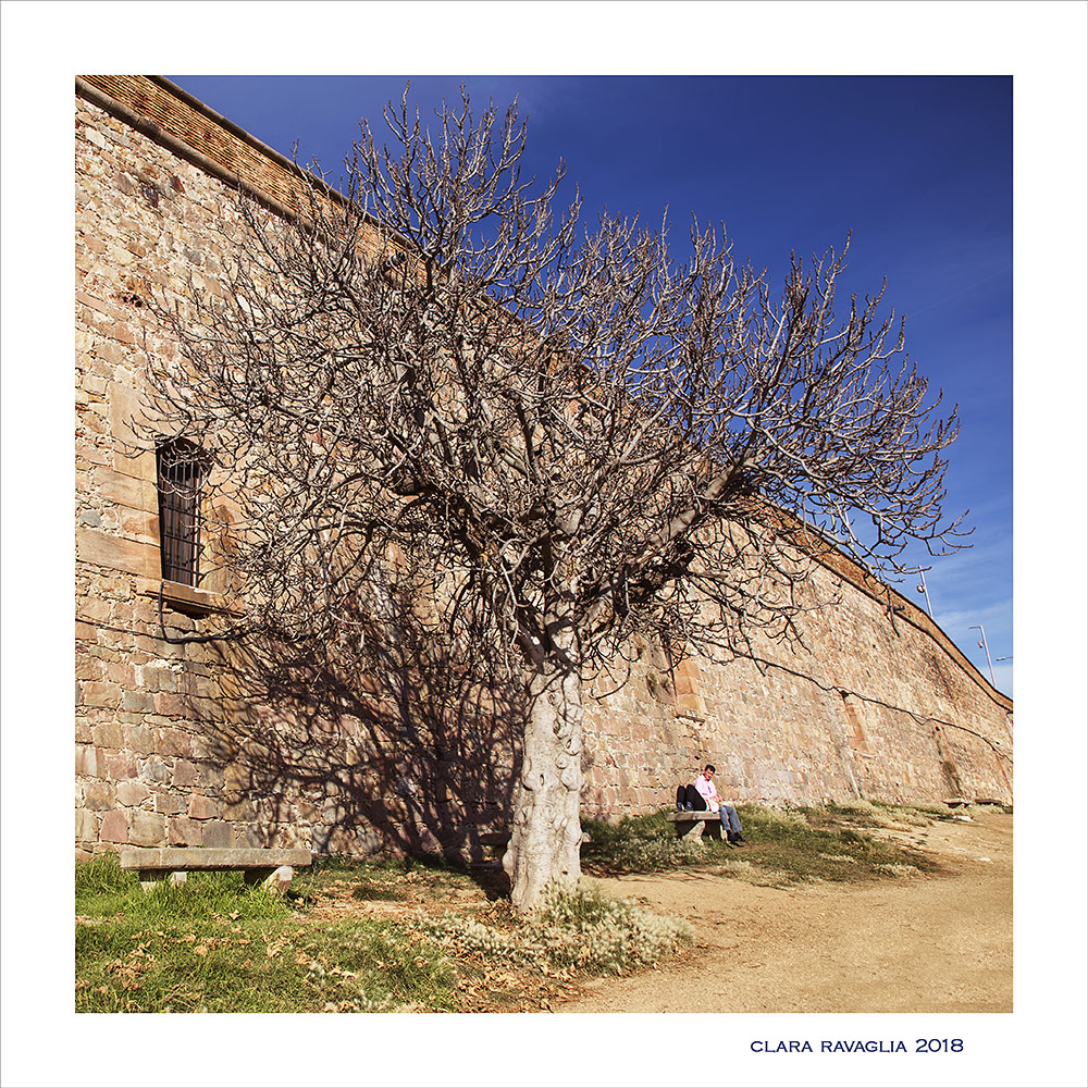 A little love... in Barcellona