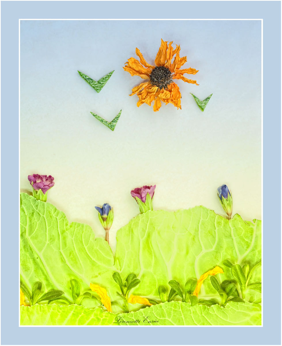 aspettando la primavera...