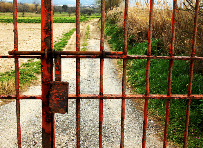 Nel mezzo del cammin