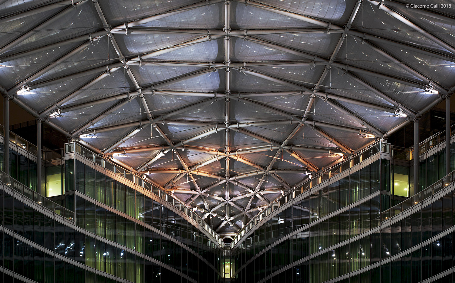 Nel ventre della balena