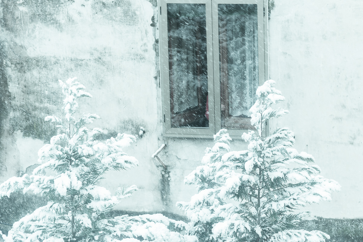 Dalla mia finestra - 27/02/2018