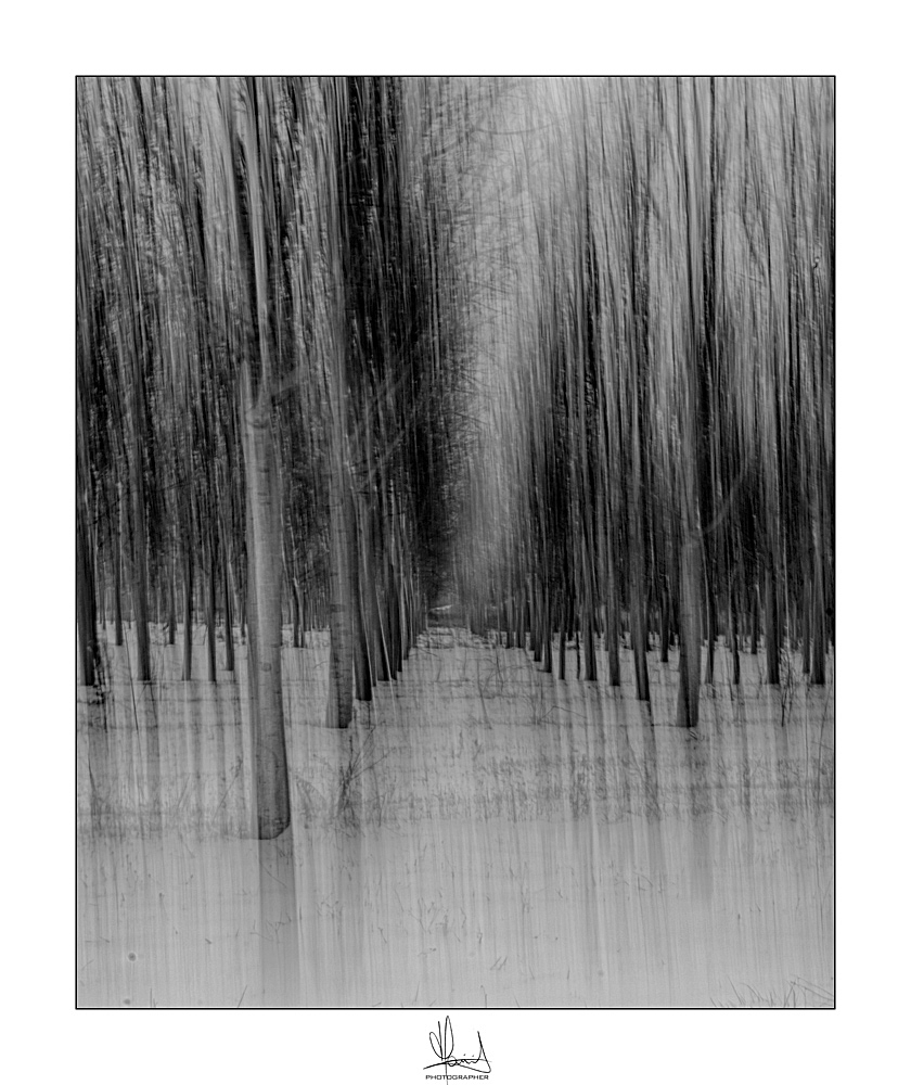 La carezza della neve