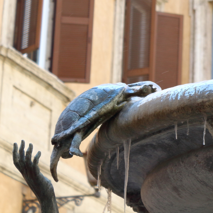 fontana delle tartarughe