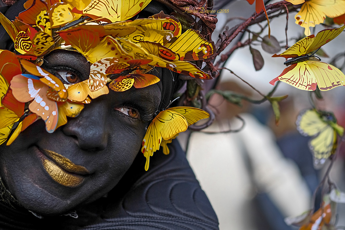 Le farfalle di Macondo