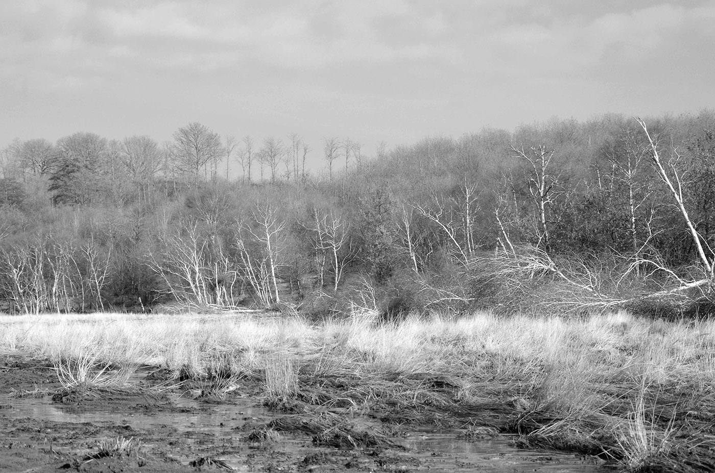 La Caldara di Manziana