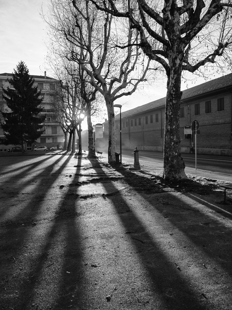 Piazza Banfi , ore 7,20
