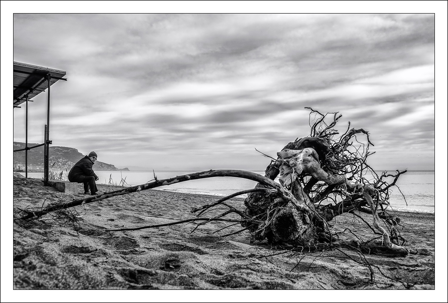 Driftwood 2